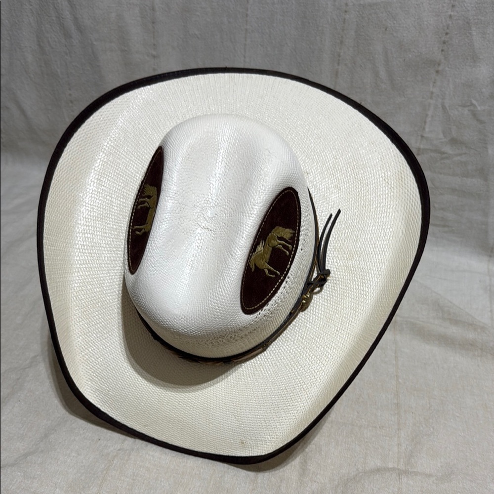 Cowboy Hat - Picture 3 of 3
